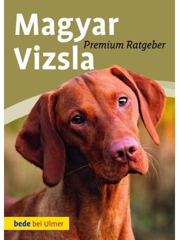 Ulmer Magyar Vizsla