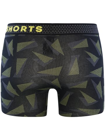 Happy Shorts Retroshorts Trunks in Neon Triangles