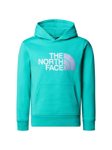 The North Face Hoodie DREW PEAK in geyser aqua