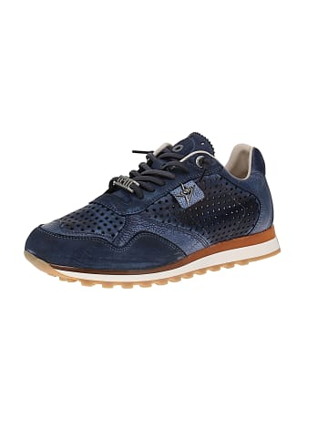 Cetti Sneaker low C-848 V25-26 in Blau