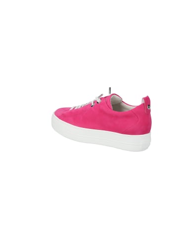 Paul Green Lowtop-Sneaker in Pink