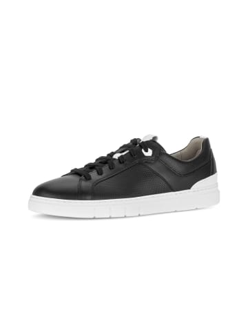 Gabor Sneaker low in schwarz