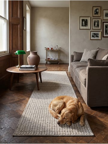 KADIMA DESIGN Teppich Kurzflor Strapazierfähig NORA Wohnzimmer Modern Wohnlich in Hellgrau