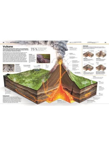 Dorling Kindersley  DK Wissen | Das große Lexikon in spektakulären Bildern. Für Kinder ab 8 Jahren
