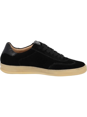 Palado Sneakers Low Asolo in Schwarz