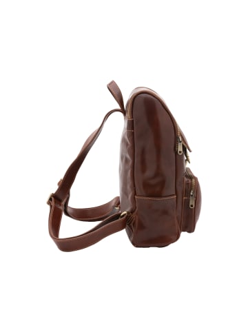 Viola Castellani Umhängetasche in BROWN