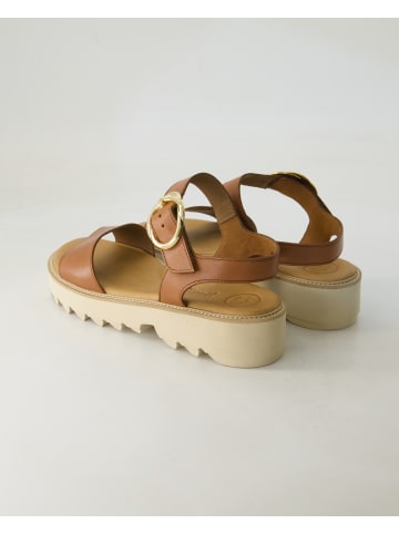 Paul Green Sandaletten in Braun