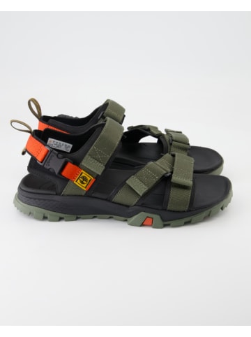 Timberland Sandalen in Grün