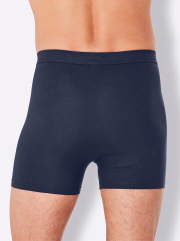 Comte Pants in marine