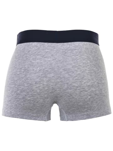 Lacoste Boxershort 6er Pack in Dunkelblau/Grau