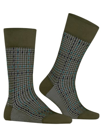 Falke Family Special Edition Socke in Artichoke