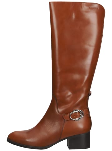 Wonders Stiefel in Braun