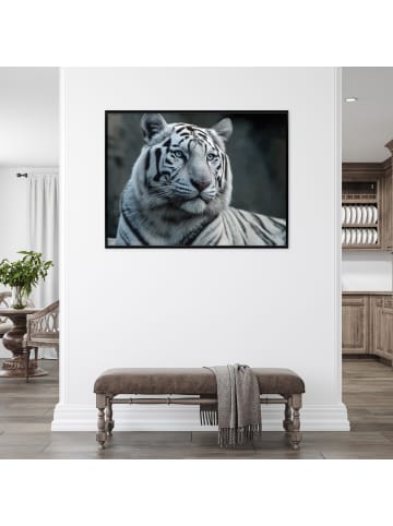 WALLARENA Bild mit Rahmen Tiger in Weiß