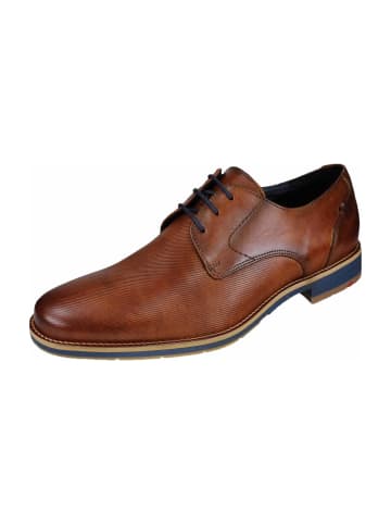 LLOYD Elegante Schnürschuhe in Braun