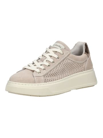 Nero Giardini Sneaker in Beige