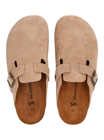 SALAMANDER Clogs Basic in Taupe