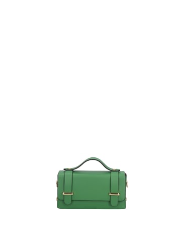 Chiara Ferretti Handtasche in GREEN