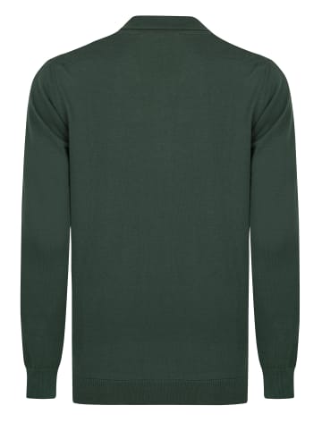 Felix Hardy Pullover in Dunkelgrün