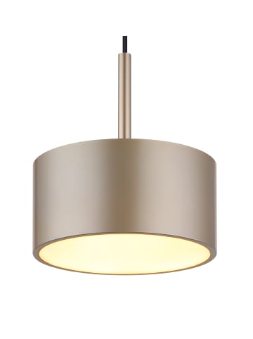 Globo lighting Hängeleuchte "RAYMOND" in black