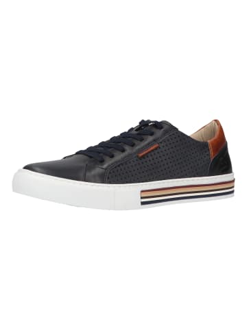 Bullboxer Sneaker in Blau