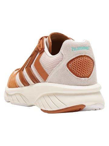 Hummel Sneaker Reach Lx 6000 in PHEASANT