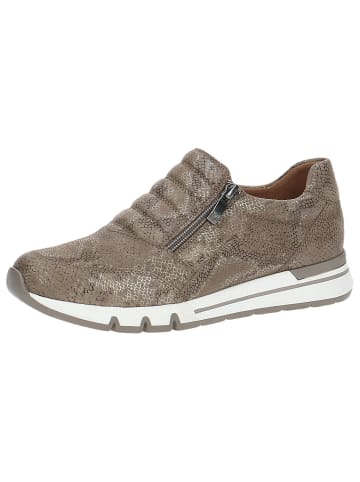 Caprice Slipper in TAUPE REPTILE