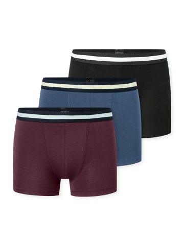 Schiesser Trunk 955 in mehrfarbig, schwarz, blau