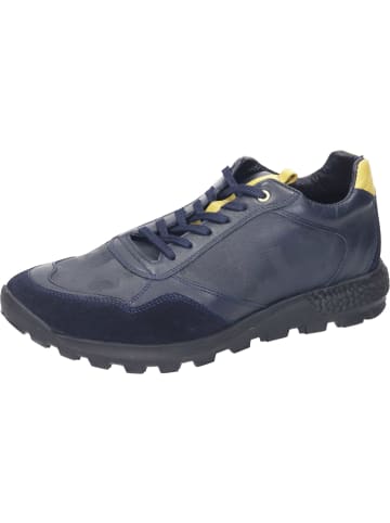 manitu Schnürschuhe in navy/yellow