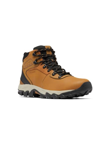 Columbia Sneakers High NEWTON RIDGE PLUS II WATERPROOF in braun