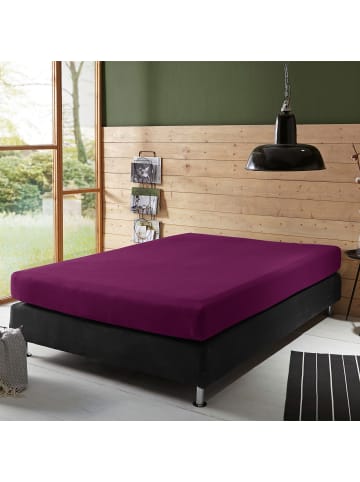 Erwin Müller Boxspringbett-Spannbettlaken Freising in aubergine