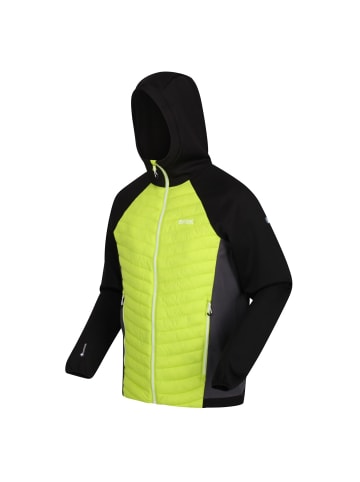 Regatta Softshelljacke Hybrid Andreson VII in Lime