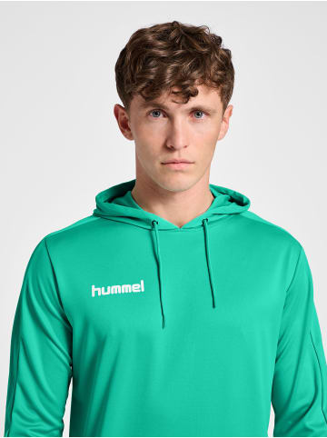 Hummel Kapuzenpullover Hmlpromo Herren in ATLANTIS