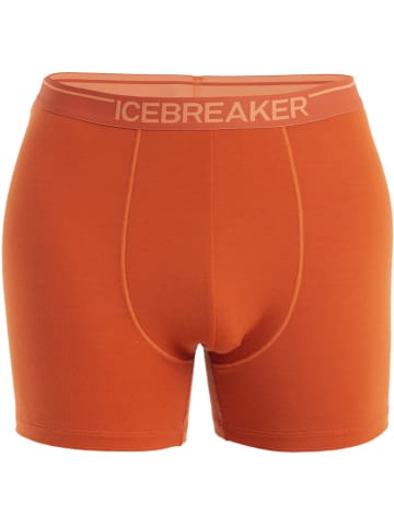 icebreaker M MERINO RUN+ ULTRALIGHTMINI