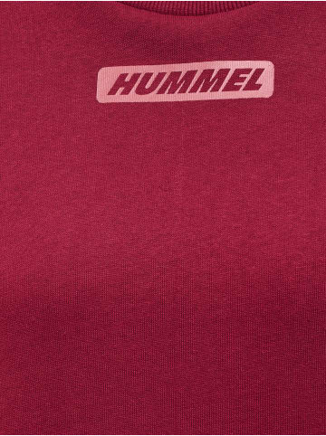 Hummel Hummel Sweatshirt Hmlte Element Multisport Damen in CABERNET