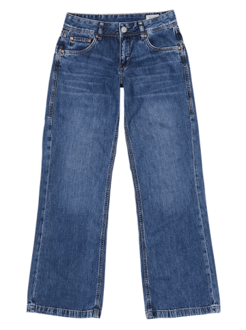 Herrlicher Jeans in Blue