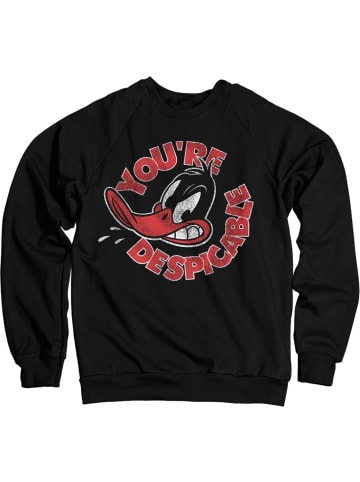 Looney Tunes  Pullover in Schwarz