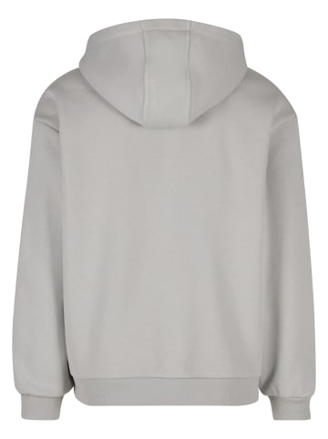 Mister Tee Sweat & Fleece - Hoody in lightasphalt