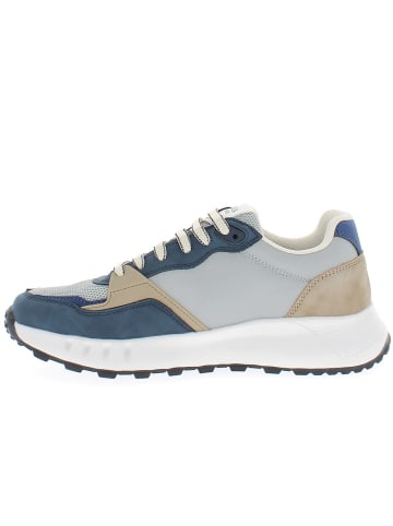 Armata di Mare Sneaker AMUS25D736-GREY Grau