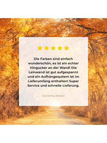 MuchoWow Leinwand bilder Waldweg (BxH)