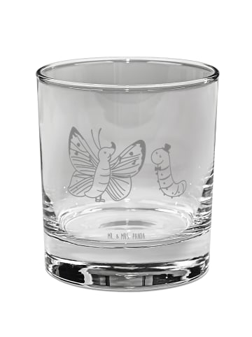 Mr. & Mrs. Panda Glas Raupe Schmetterling ohne Spruch in Transparent
