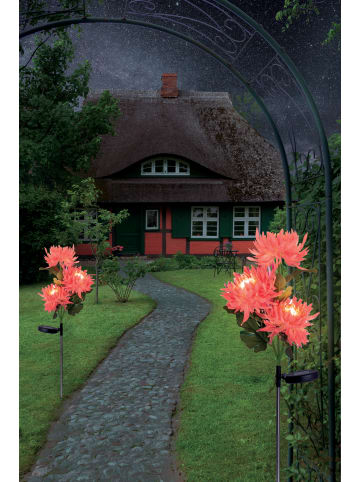 näve LED Solarleuchte "BLUME" in rosé/lachs - (L)12 cm x (B)12 cm x (H)79 cm