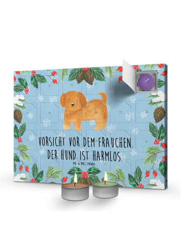 Mr. & Mrs. Panda duft adventskalender Hund Flauschig mit Spruch in Eisblau