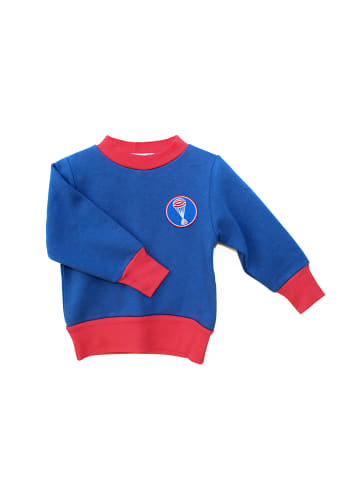 MEGANAUTEN Pullover "Aerobee01" in Royal Blue