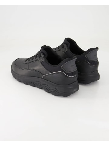 Geox Sneaker low in Schwarz