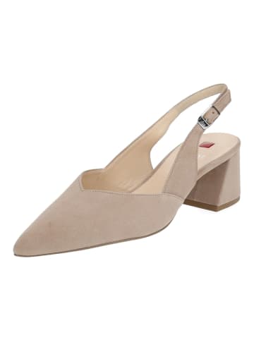 Högl Pumps in Taupe