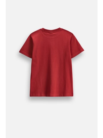 Coccodrillo Baumwoll-T-Shirt mit kurzen Ärmeln in dunkelrot