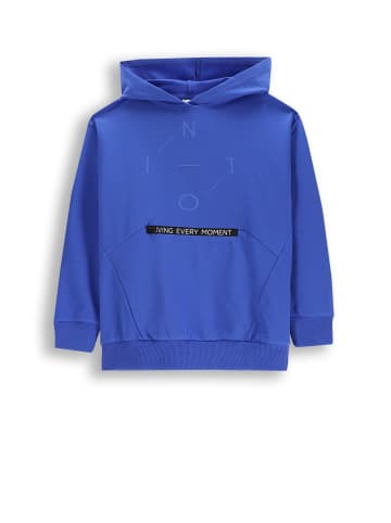 Coccodrillo Sweatshirt in kobaltblau