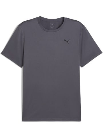 Puma T-Shirt "Tad EssentiaLongsleeve Solid Cat Tee (LC small Cat)" in Grau