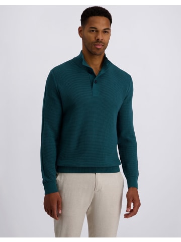 Pierre Cardin Strickpullover in Mediterranea