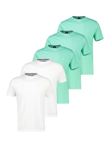 Lerros T-Shirt Basic in Mint / weiß